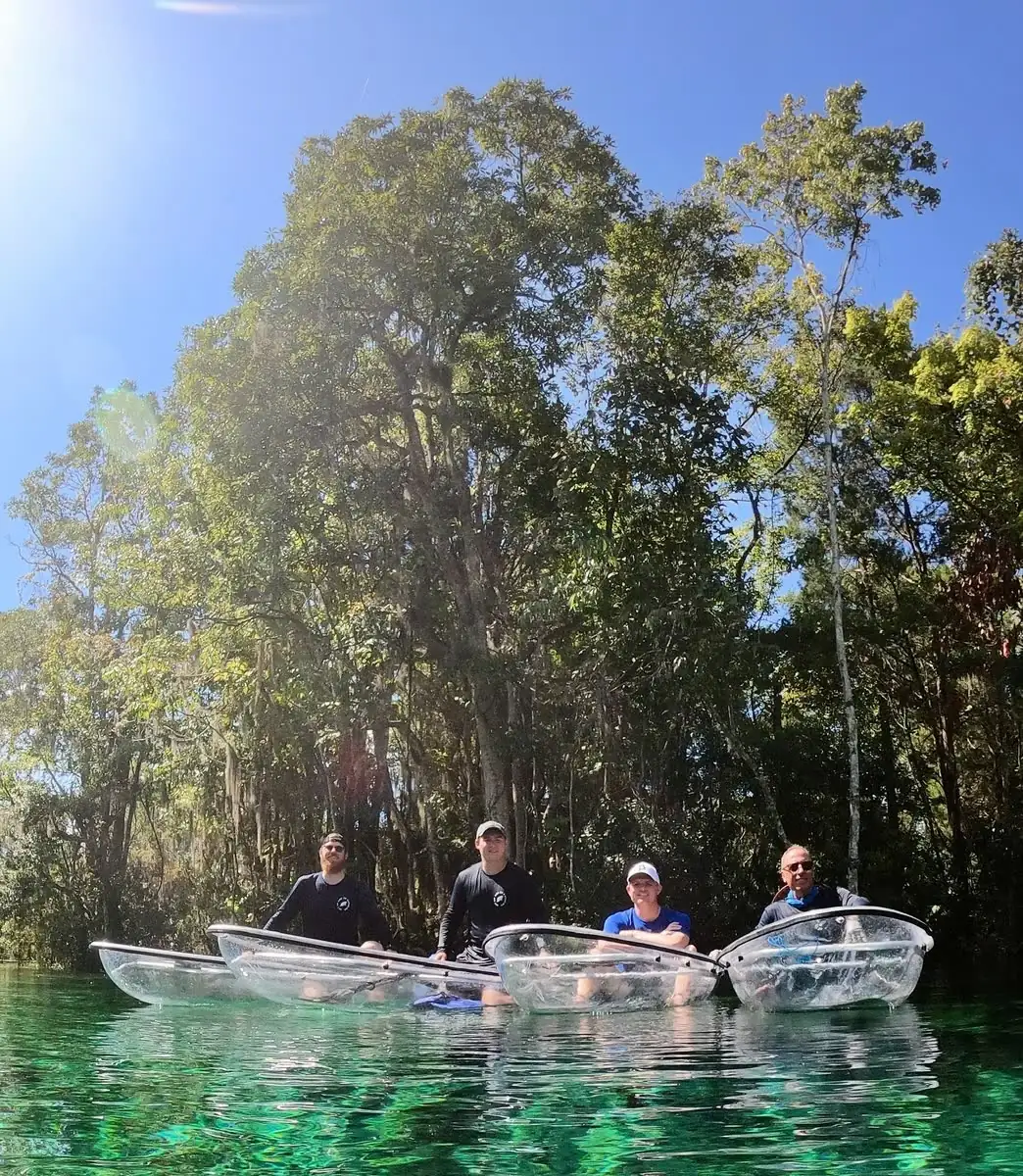 A group of clear kayaks resting beneath oak trees