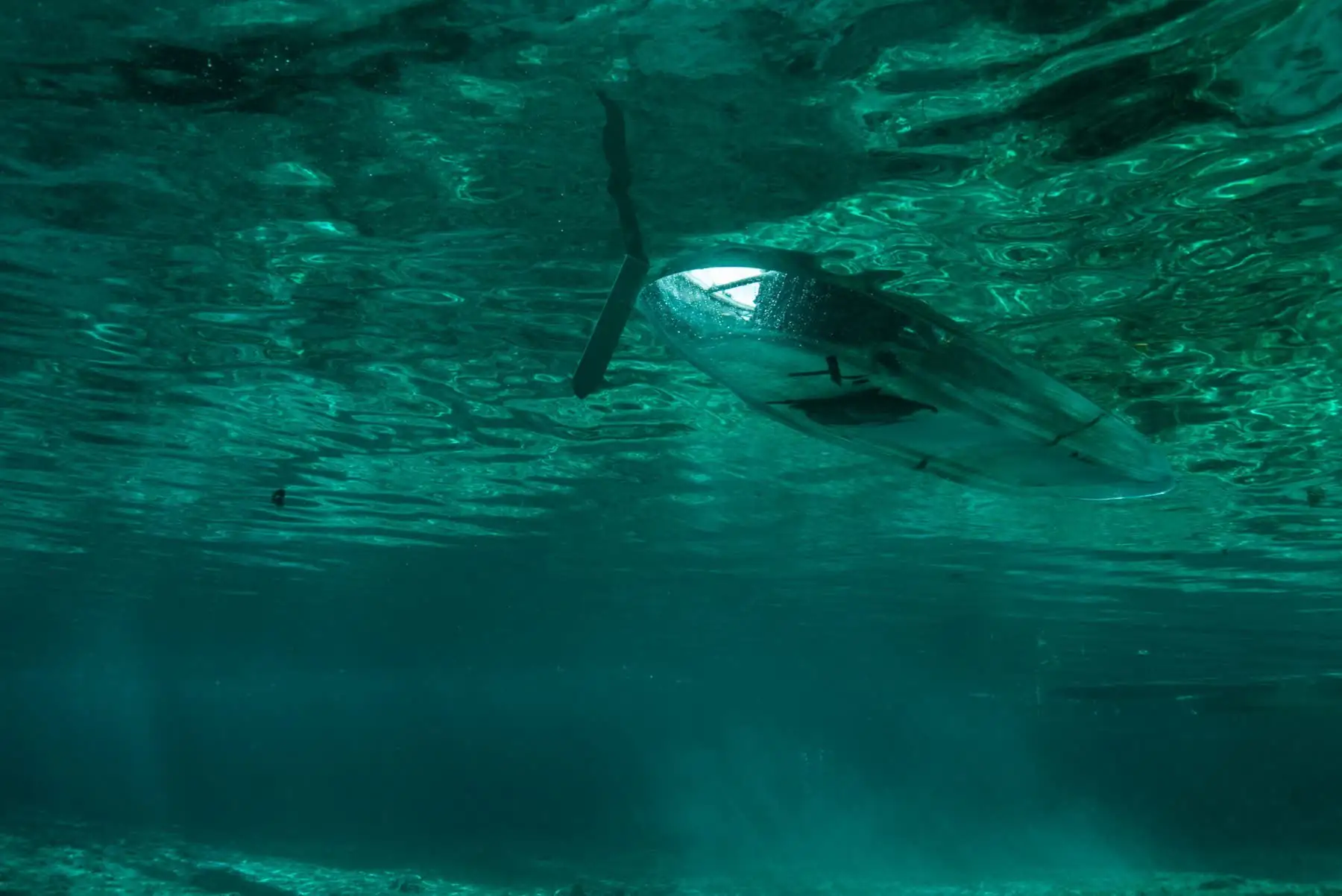 The underside of a clear kayak seen from below the water's surface