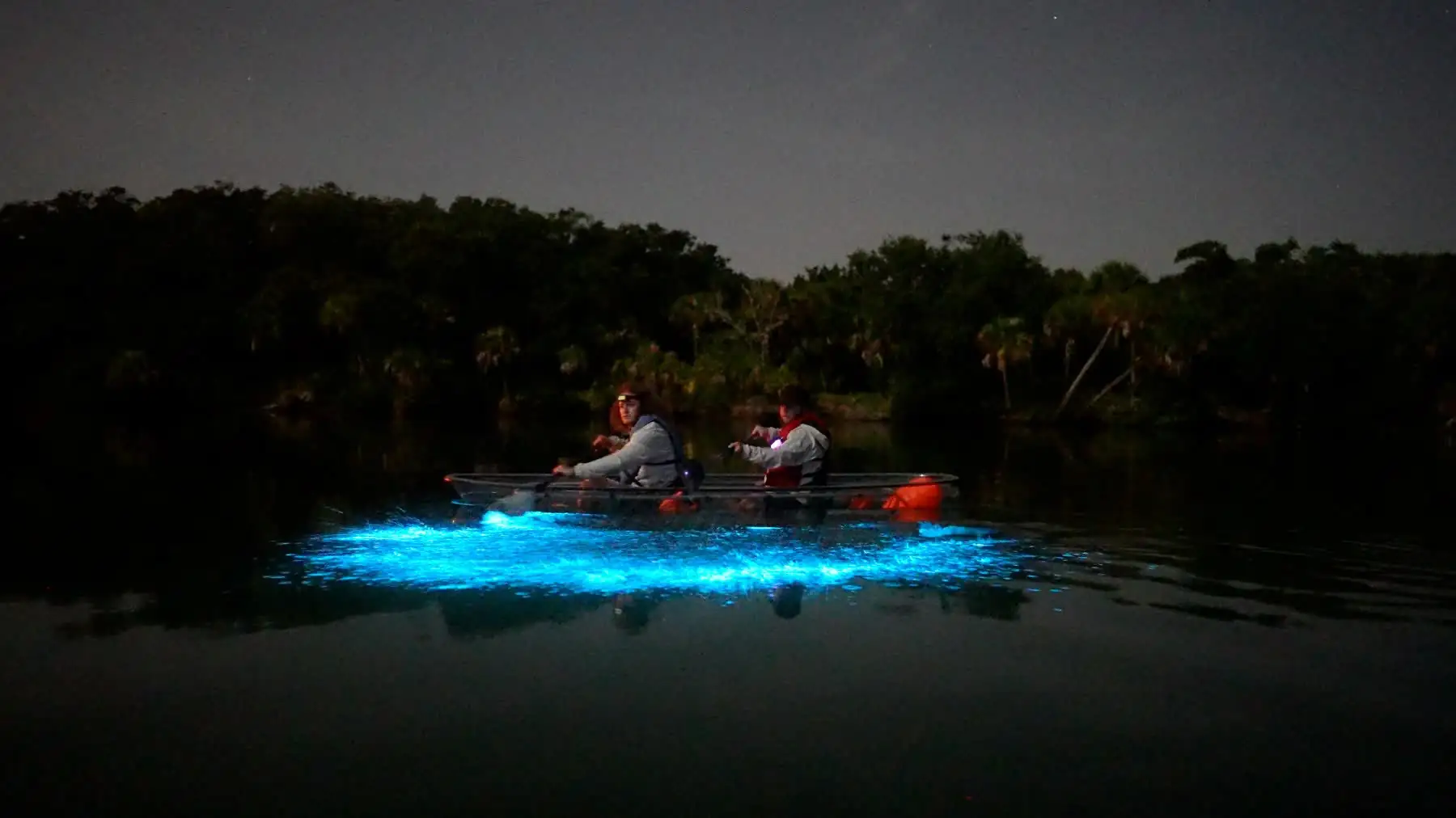 Two paddlers in a clear kayak at night, the water around the hull glowing blue